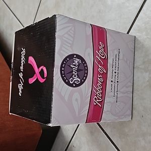 Scentsy warmer